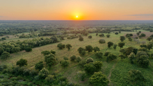 Paysage agroforestier à N’Dali : Exemple représentatif de la mosaïque agroforestière de la région.