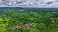 Déforestation et brûlis : Déboisement par brûlis dans le massif forestier de Tchaourou.